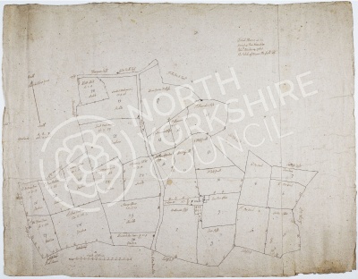 Historic map of Nun Monkton 1768